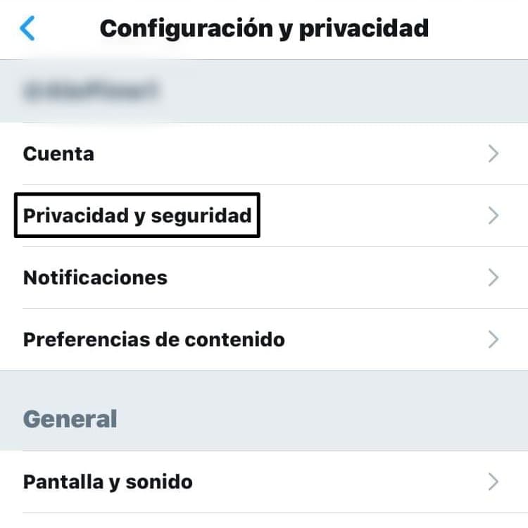 Cómo Hacer Mi Cuenta De Twitter Privada En 3 Pasos Guía 2023 8791